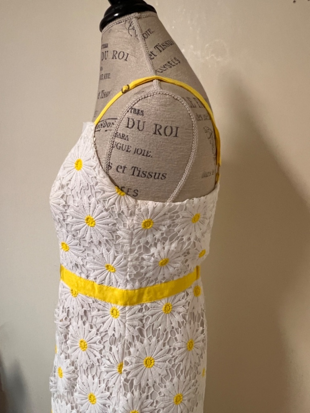 Boston Proper Daisy Lace Maxi Sleeveless Dress White/Yellow size S 12 - cute! - Picture 6 of 12